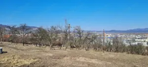 Vand teren intravilan cu panorama - imagine 3