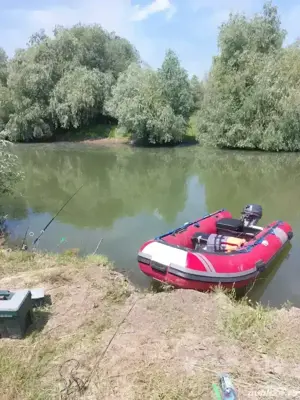 Barca Rib cu motor Yamaha 9.9 cp4T 