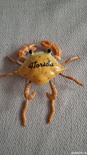 Magnet caracatita Florida