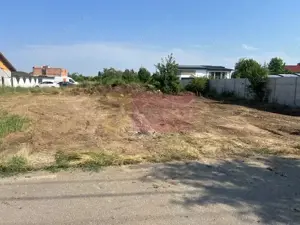 Teren Clinceni- Putul Olteni- Crizantemelor.