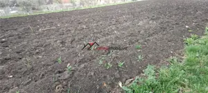 Teren intravilan 600 mp cu utilitati in Suceagu!