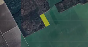 Teren excelent pozitionat cu doua laturi padure