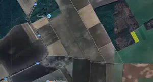 Teren excelent pozitionat cu doua laturi padure - imagine 2 Teren excelent pozitionat cu doua laturi padure - imagine 2