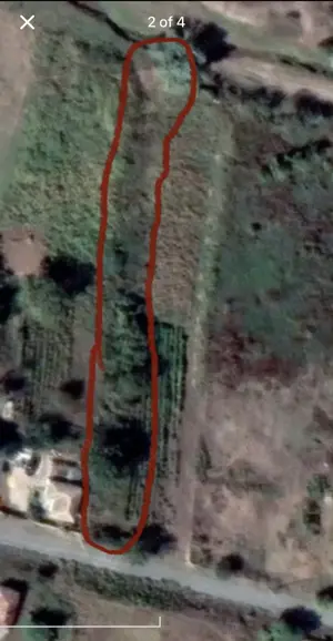 Teren intravilan (Constructii) - imagine 3