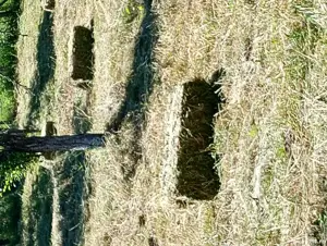 Baloti fan de gradina