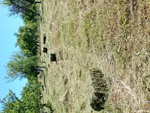 Baloti fan de gradina - imagine 2