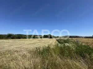 Teren intravilan 3752 mp parcelabil zona fostelor sere Cristian Sibiu - imagine 3