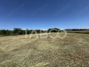 Teren intravilan 3752 mp parcelabil zona fostelor sere Cristian Sibiu - imagine 5