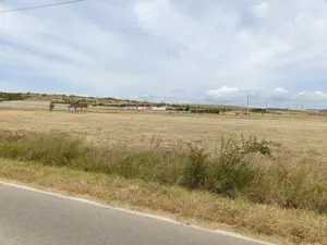 Terenuri intravilane cu utilitati - ideal investitie