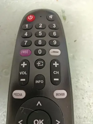 Telecomenzi originale SHARP,Radio,Diamant,Horizon,Alviev!