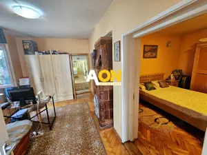 Proprietate cu potențial mixt – locuință și spațiu de lucru în Partoș - imagine 10