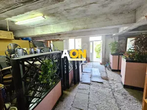 Proprietate cu potențial mixt – locuință și spațiu de lucru în Partoș - imagine 19