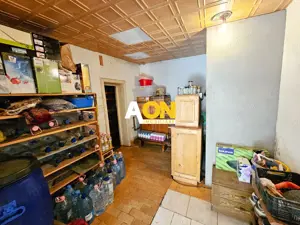 Proprietate cu potențial mixt – locuință și spațiu de lucru în Partoș - imagine 17