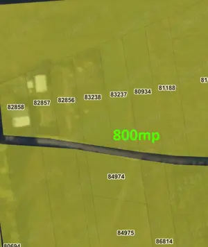 Teren 800mp - Gura Bustii - imagine 3