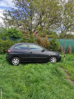 Seat Ibiza - imagine 4