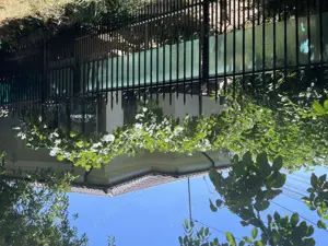 Casa vânzare Tecuci , Ana Ipatescu cart Balcescu - imagine 7 Casa vânzare Tecuci , Ana Ipatescu cart Balcescu - imagine 7