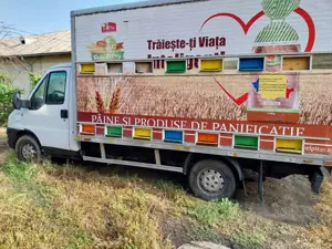 camioneta apicola 3,5 to, se conduce cu categoria B - imagine 3