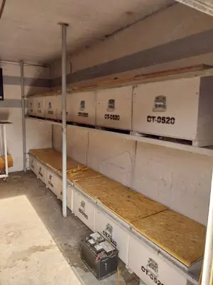 camioneta apicola 3,5 to, se conduce cu categoria B