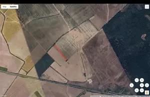 Teren Pantelimon 7500mp langa A0 - 50euro mp - imagine 2