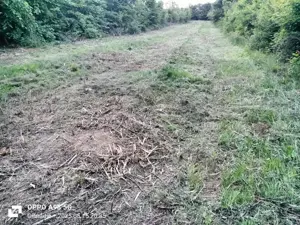 Se vinde urgent teren intravilan  - imagine 6