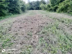 Se vinde urgent teren intravilan  - imagine 5