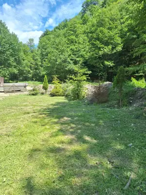 Teren Cabana  Vacanta Zona montana  - imagine 5