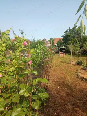 Casa Mănăștiur Timiș  - imagine 4