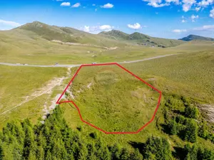 Teren intravilan Transbucegi / Oportunitate de dezvoltare Transbucegi - imagine 2