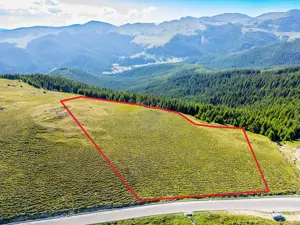 Teren intravilan Transbucegi / Oportunitate de dezvoltare Transbucegi