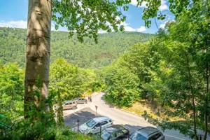 Apartament de Lux | Curte Privată, Garaj | Priveliște Superbă |Sinaia - imagine 18