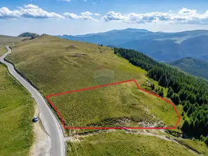 Teren intravilan Transbucegi / Oportunitate de dezvoltare Transbucegi - imagine 4