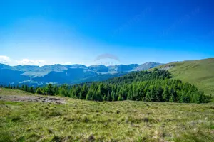 Teren intravilan Transbucegi / Oportunitate de dezvoltare Transbucegi - imagine 9