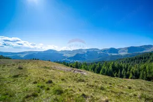 Teren intravilan Transbucegi / Oportunitate de dezvoltare Transbucegi - imagine 10