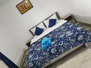 Pensiune de vanzare in Delta Dunarii! - imagine 7