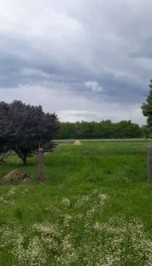 Vand casa in Ungaria la 25 km de vama Bors - imagine 4