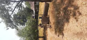 Vând casa în comuna orodel sat calugarei - imagine 2