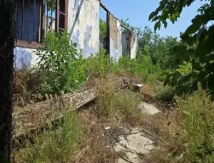 Casa si teren Cucuruzu, ID: R2609648 - imagine 11