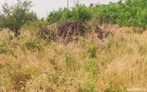 Super oferta de pământ negru 8 mc 