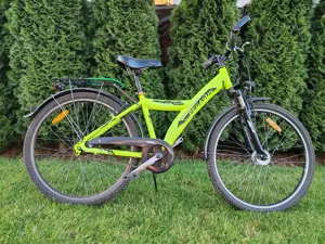 Bicicleta PEGASUS Avanti 26