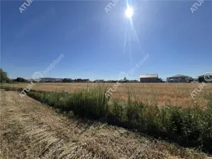 Teren extravilan de 10400 mp cu 2 deschideri in Cristian zona Serelor - imagine 6