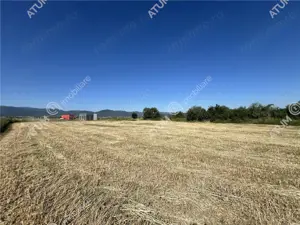 Teren extravilan de 10400 mp cu 2 deschideri in Cristian zona Serelor - imagine 8