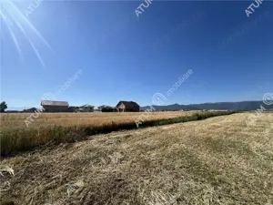 Teren extravilan de 10400 mp cu 2 deschideri in Cristian zona Serelor - imagine 4