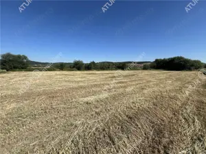 Teren intravilan de 543 mp cu PUZ constructie duplex in Cristian - imagine 6