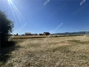 Teren extravilan de 10400 mp cu 2 deschideri in Cristian zona Serelor - imagine 2