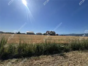 Teren extravilan de 10400 mp cu 2 deschideri in Cristian zona Serelor - imagine 7