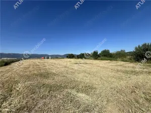 Teren extravilan de 10400 mp cu 2 deschideri in Cristian zona Serelor - imagine 5