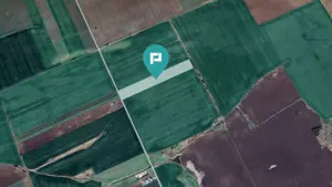 Teren 30.000 mp cu acces asfaltat – Peciu Nou - imagine 2 Teren 30.000 mp cu acces asfaltat – Peciu Nou - imagine 2