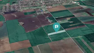 Teren 30.000 mp cu acces asfaltat – Peciu Nou - imagine 4 Teren 30.000 mp cu acces asfaltat – Peciu Nou - imagine 4