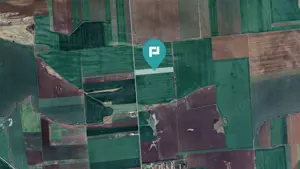 Teren 30.000 mp cu acces asfaltat – Peciu Nou - imagine 3 Teren 30.000 mp cu acces asfaltat – Peciu Nou - imagine 3