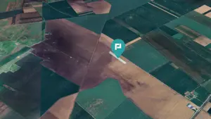 Teren 36.000 mp în Peciu Nou - imagine 3 Teren 36.000 mp în Peciu Nou - imagine 3